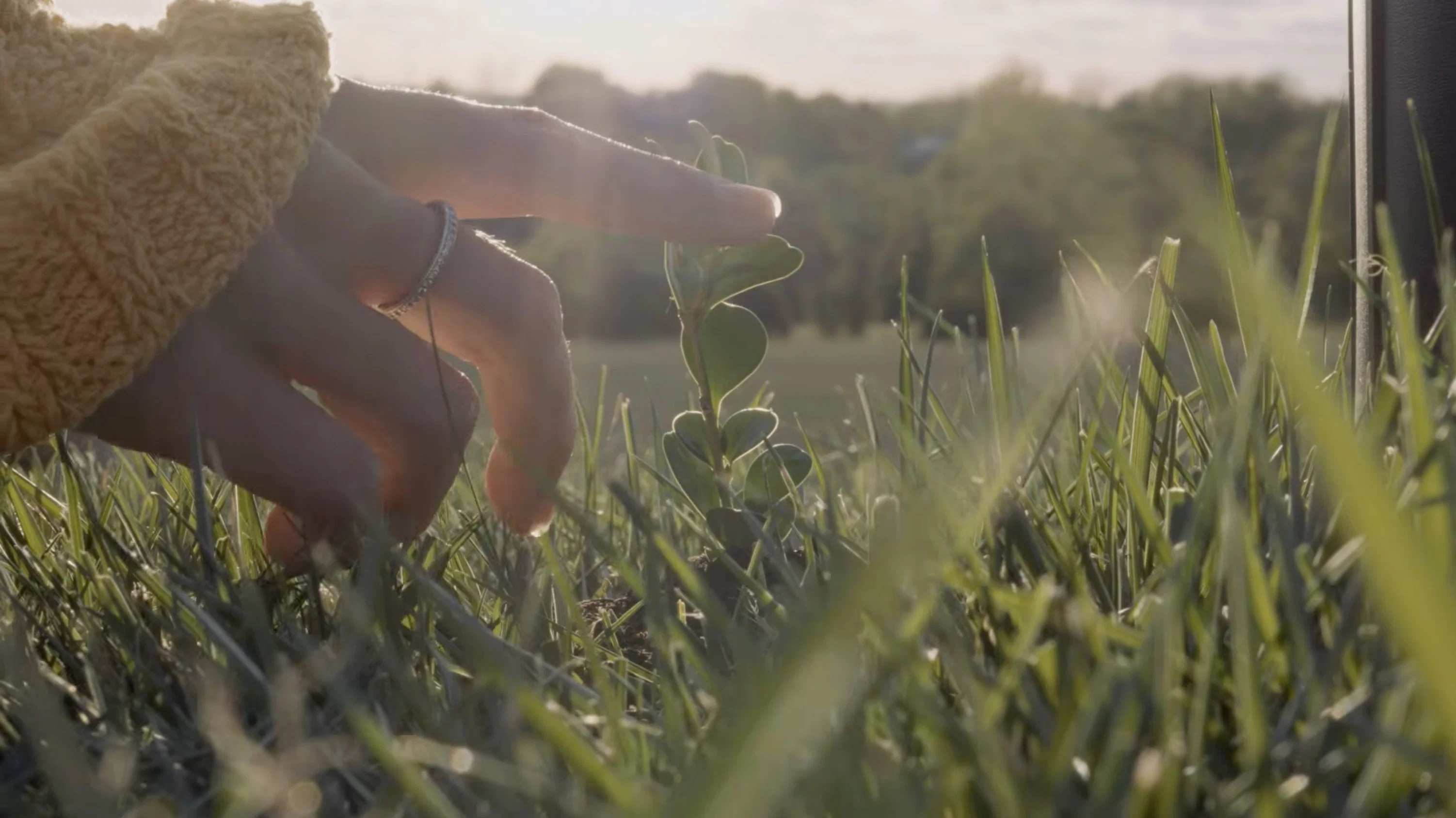 Plant Mom
